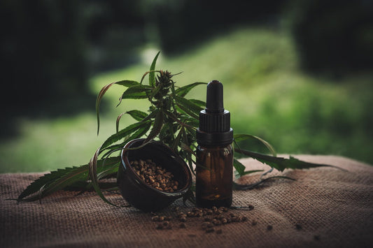 CBD vs. THC: Zwei Cannabinoide – zwei völlig verschiedene Wirkungen