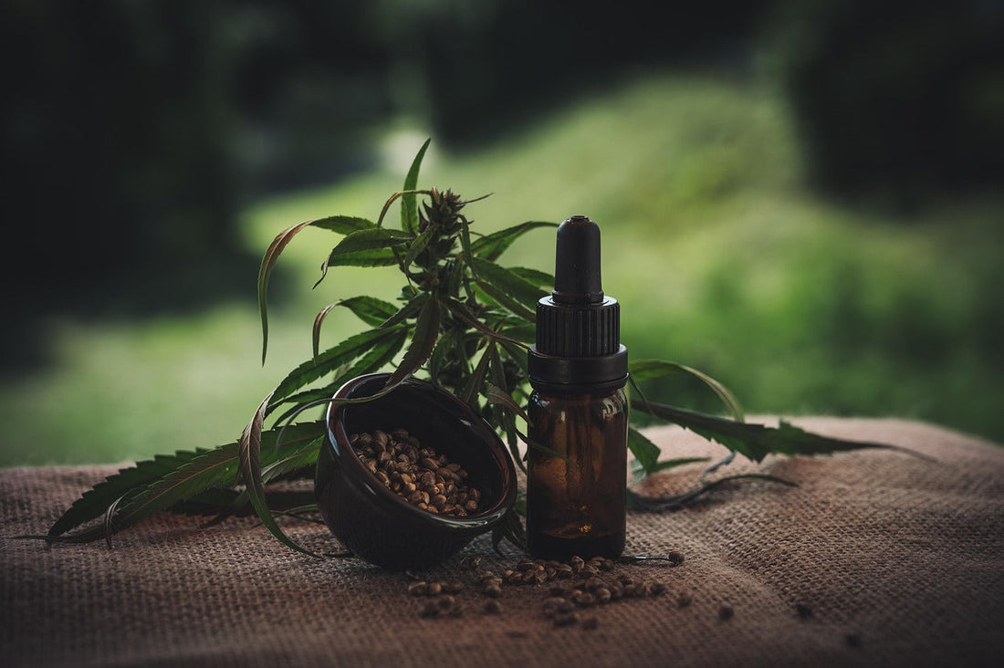 CBD vs. THC: Zwei Cannabinoide – zwei völlig verschiedene Wirkungen